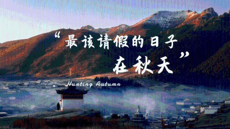 女孩们的自由行