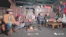 敏捷的白球