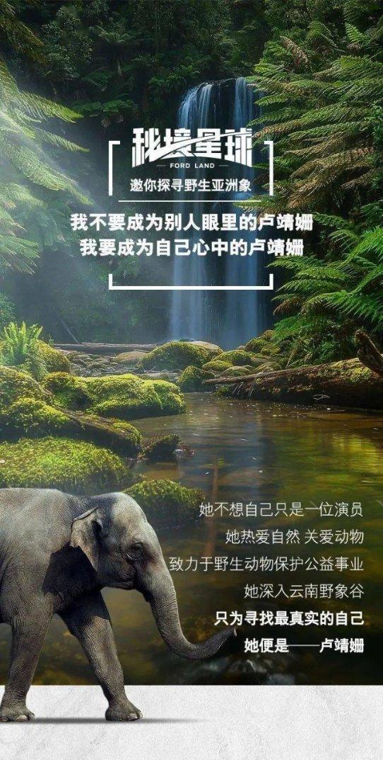 优雅的精灵