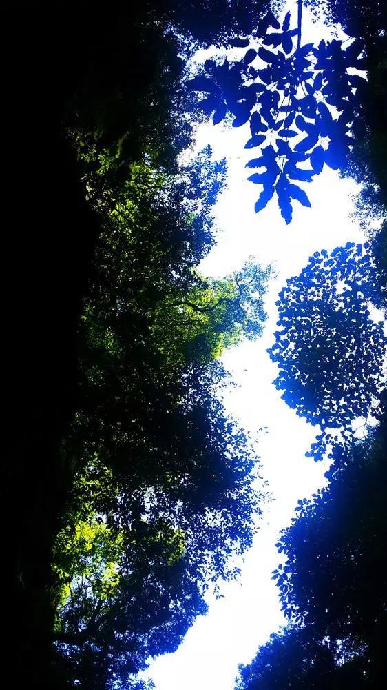 海滩棚屋逃生