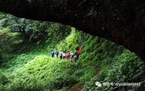 一家6口人的票为啥出在6个车厢?春运购票问答来啦→