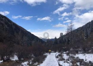 高级定制