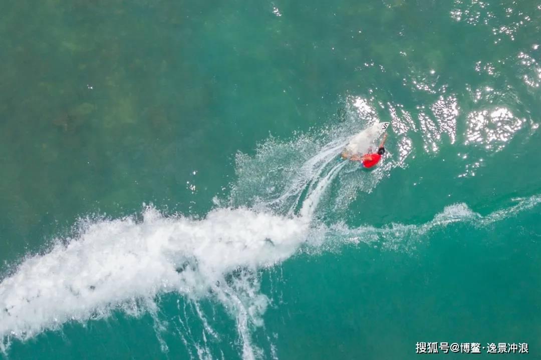 逗小猴开心系列186