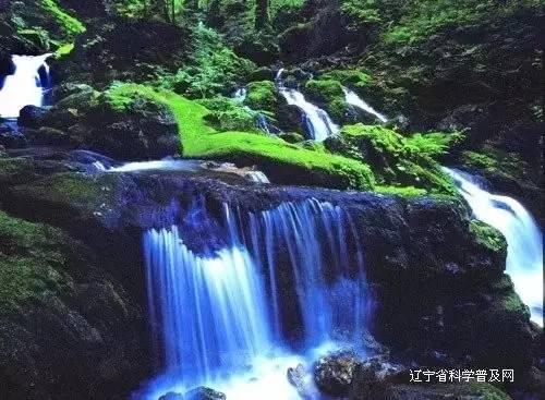 可爱的蜗牛拼图