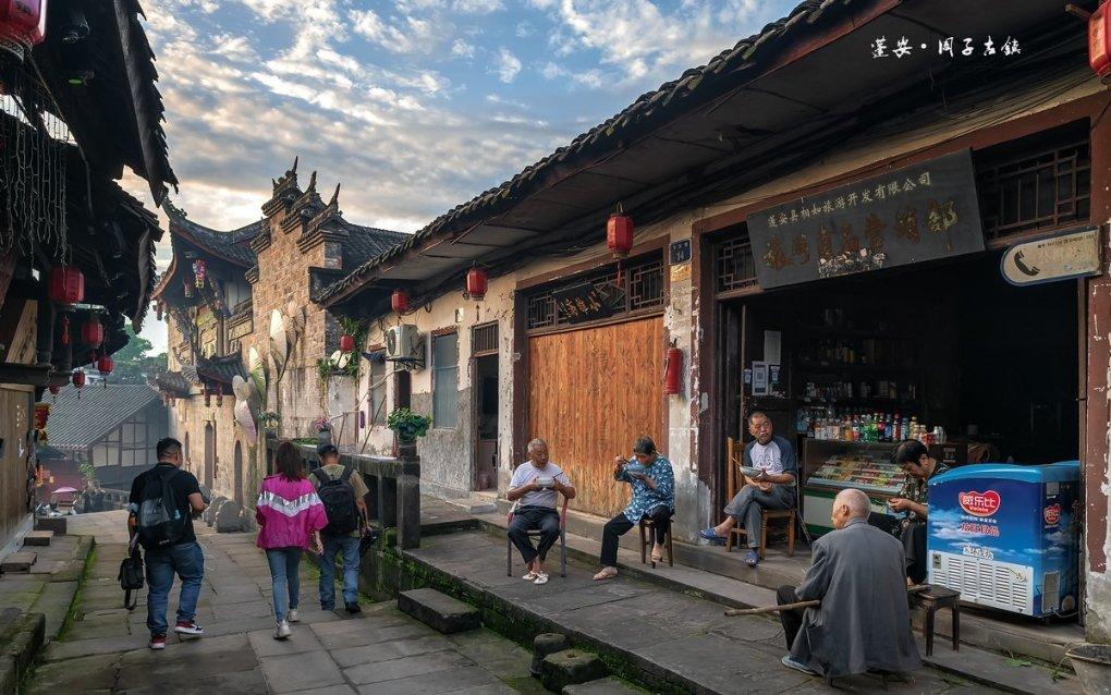 动物帮帮忙保卫家园
