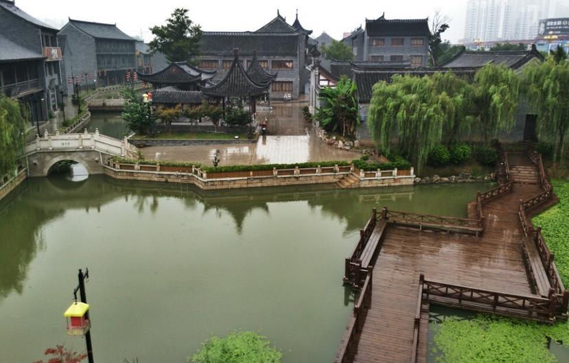 逃离野丛之森